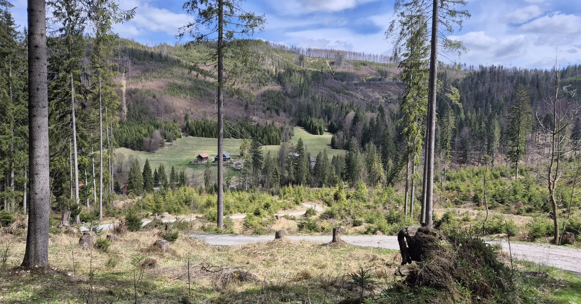 Okolica i aktywność outdoorowa